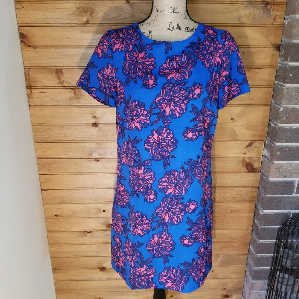 J. Crew dress